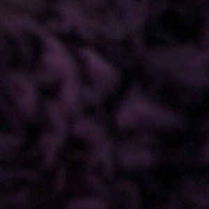 Meet your Posher, Janae